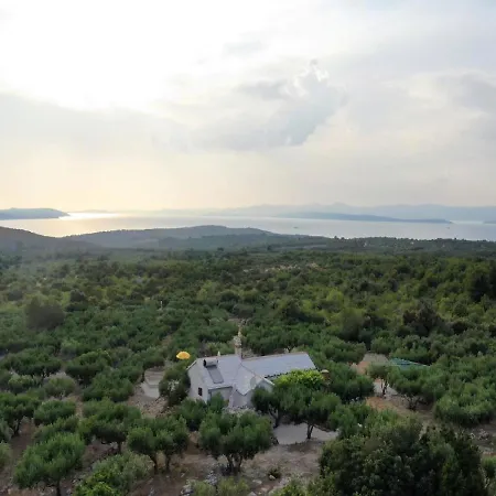 Olive Villa Sutivan